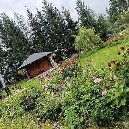 Farcik Pokoje Goscinne Nowa Wies  Exterior photo